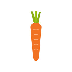 Carrot icon isolated on white background. Single carrot symbol. Orange crunchy vegetable. Healthy food rich in Vitamin A from beta carotene. Daucus carota. Vector illustration, flat style, clip art.