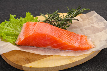 Piece of raw salmon