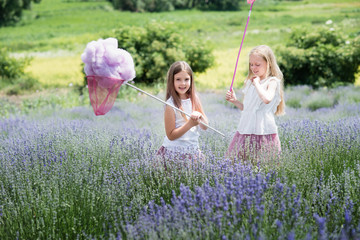 Children in lavender field catching cloud of wool.