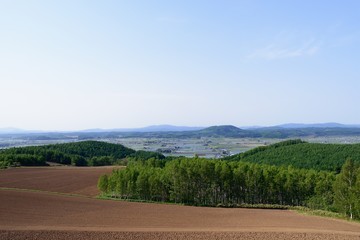 Fototapeta na wymiar 北海道の大地