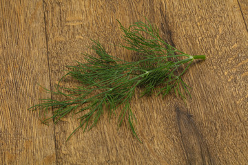 Fresh green dill herb branch
