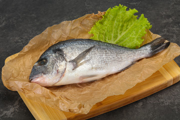 Raw Dorada fish  for cooking