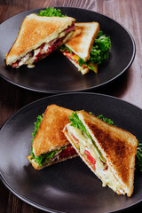 Sandwich bread tomato, lettuce and yellow cheese for breakfast