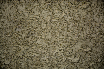 Beautiful vintage background. Abstract grunge decorative stucco wall texture.