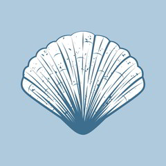 Illustration of a Shell From the Ocean.
