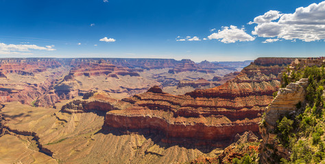 Panoramic view of the Grand Canyon Colorado, USA.
