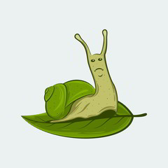 Illustration of a Snail on a Leaf.