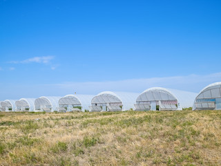 A group of greenhouses for growing tomatoes and cucumbers.