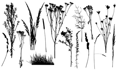 Silhouettes of weed plants, set of wild plants and grass. Vector illustration.