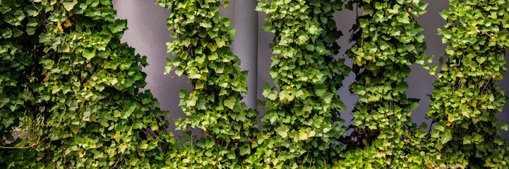 Landscaping walls in an urban environment.