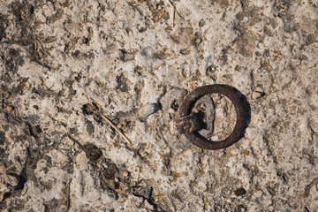 Wall with a ring to tie animals