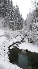 verschneiter spaziergang / schladming
