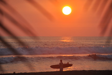Surfing at Sunset, Palm Leaf Framed