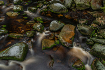 Vydra river in winter cold day in national park Sumava