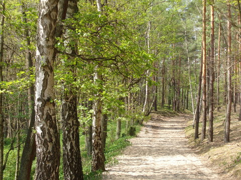 Kampinoski Park Narodowy