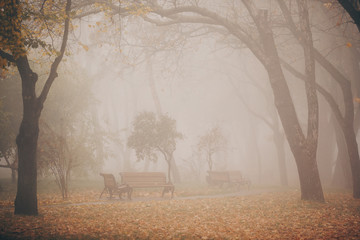 Autumn misty park with benches