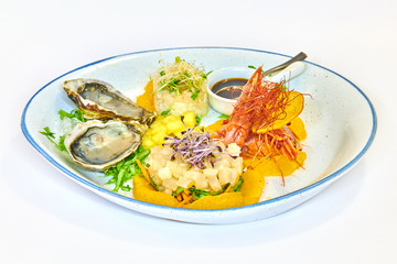 Mixed plate of raw fish, oysters and shrimp tartare
