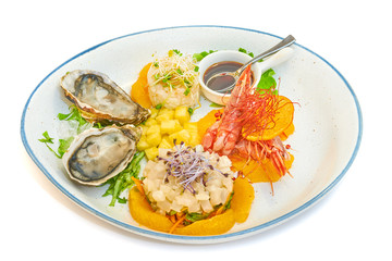 Mixed plate of raw fish, oysters and shrimp tartare
