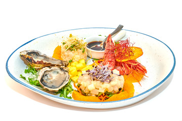 Mixed plate of raw fish, oysters and shrimp tartare