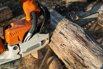 Man is sawing a large log with a chainsaw