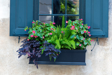 Fototapeta na wymiar In a city of gardens, a beautiful planter box is seen in the historic district of Charleston, South Carolina, a popular slow travel destination in the southern United States.