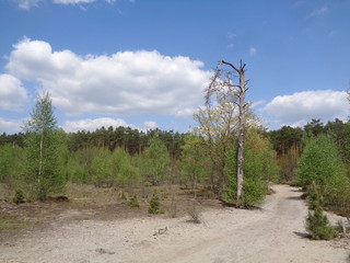 Kampinoski Park Narodowy
