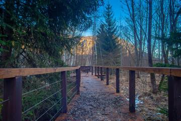 Fototapeta na wymiar footbridge over frozen lake in a forest in the high mountains