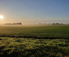 Fototapeta premium Fog over the meadows during sunrise in the polder of Nieuwerkerk aan den IJssel in the Netherlands