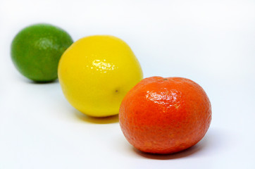 different types of citrus fruits on a white background 