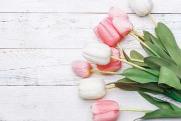 Delicate tulips on a white background. Blank for design. Top view. Copy space