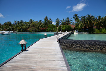 Maldives paradise beach. Perfect tropical island. Beautiful palm trees and tropical beach. Moody blue sky and blue lagoon. Luxury travel summer holiday background concept.