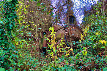 Abandoned locomotive, South Italy.