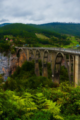 Fototapeta na wymiar Djurdjevica Bridge is a concrete arch bridge over the Tara River canyon, mountains and forests around in the Durmitor nature park, Montenegro 