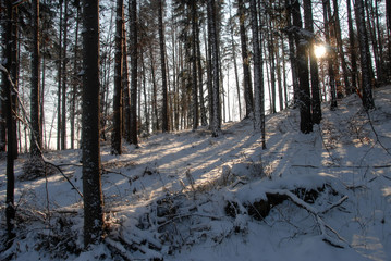 wintwr in Styria