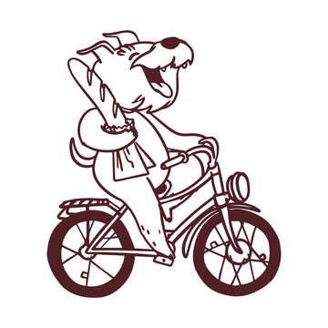 A cute dog on a bike with a baguette. Postcard with happy terrier. Coloring page for children.