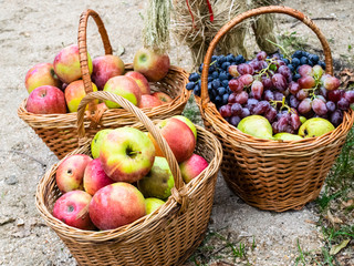 Baskets with apples, pears and grapes. Baskets with fruit