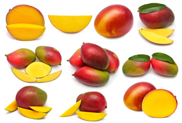 Collection mango fruit whole, half, slice and cubes isolated on white background. Perfectly retouched, full depth of field on the photo. Creative healthy food concept. Top view, flat lay