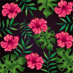 Schilderijen op glas background of flowers pink and tropical leafs vector illustration design © Gstudio