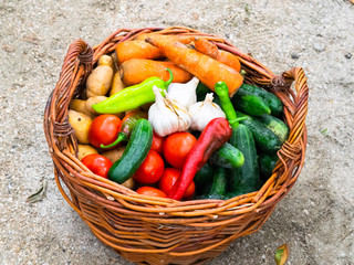 Baskets with vegetables. Assorted vegetables. Rural harvest.