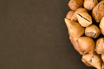 Ayoyotes Con Hueso De Fraile, pre-Hispanic dance instrument in Mexico