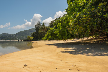Sandy beach on Mahe island, Seychelles
