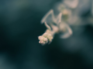 Abstract green background