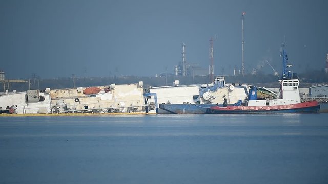 Livestock cargo ship is seen capsized near a harbor 