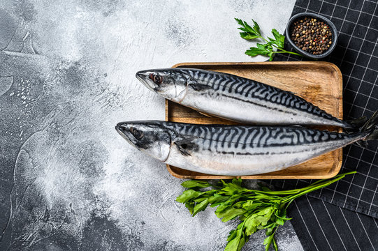 Raw mackerel fish with parsley and pepper. Fresh seafood. Gray background. Top view. Space for text