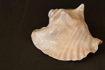 Prehispanic instrument of Mexico, Caracol Azteca