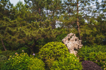 Fototapeta na wymiar Strange rock among trees in park near West Lake, Hangzhou, China