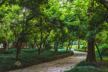 Path in woods in park by West Lake, Hangzhou, China