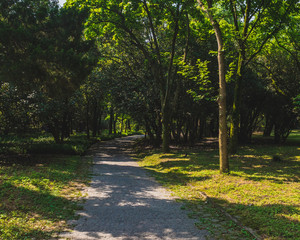 Path among woods in park near West Lake, Hangzhou, China
