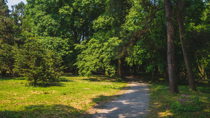Fototapeta na wymiar Path among woods in park near West Lake, Hangzhou, China