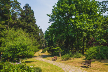 Naklejka premium Path among woods in park near West Lake, Hangzhou, China